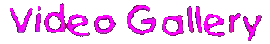 Video Gallery